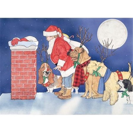 PIPSQUEAK PRODUCTIONS Pipsqueak Productions C310 Mix Dog  Holiday Boxed Cards C310